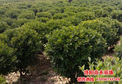 ���~�S����